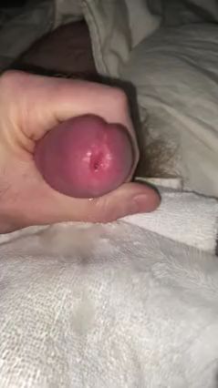 Guy Masturbates to Porn and Edges His Dick