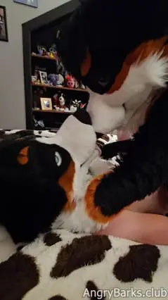 Horny Bottom Takes Knot in Hardcore Anal