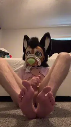 Furry Gets Off on Sweaty Socks in Muzzle