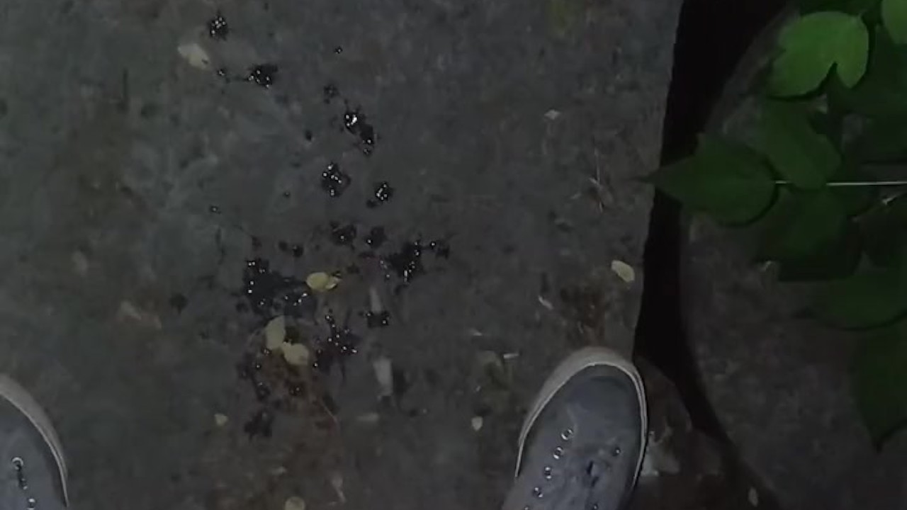 Street Cum Shot at Night