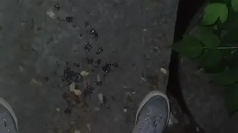 Street Cum Shot at Night