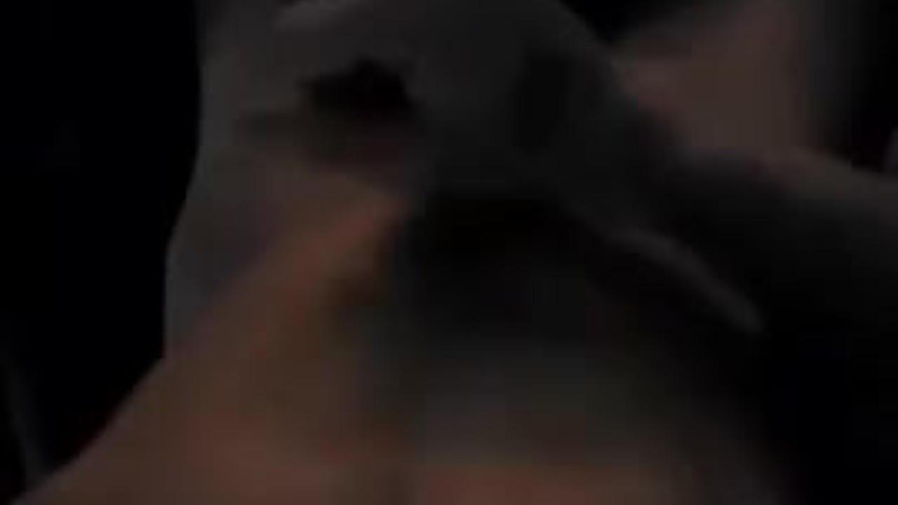 Blindfolded Twink Gets Cummed On in Dark