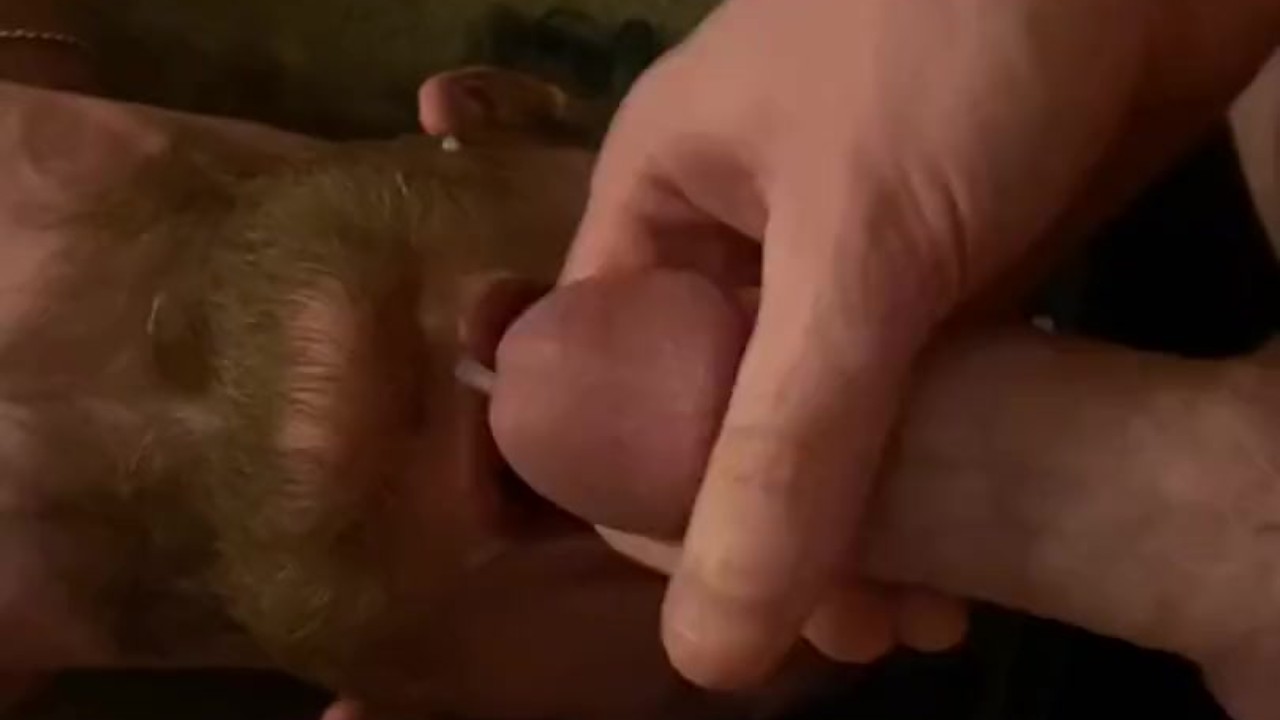 Young Twink Receives Facial Cumshot