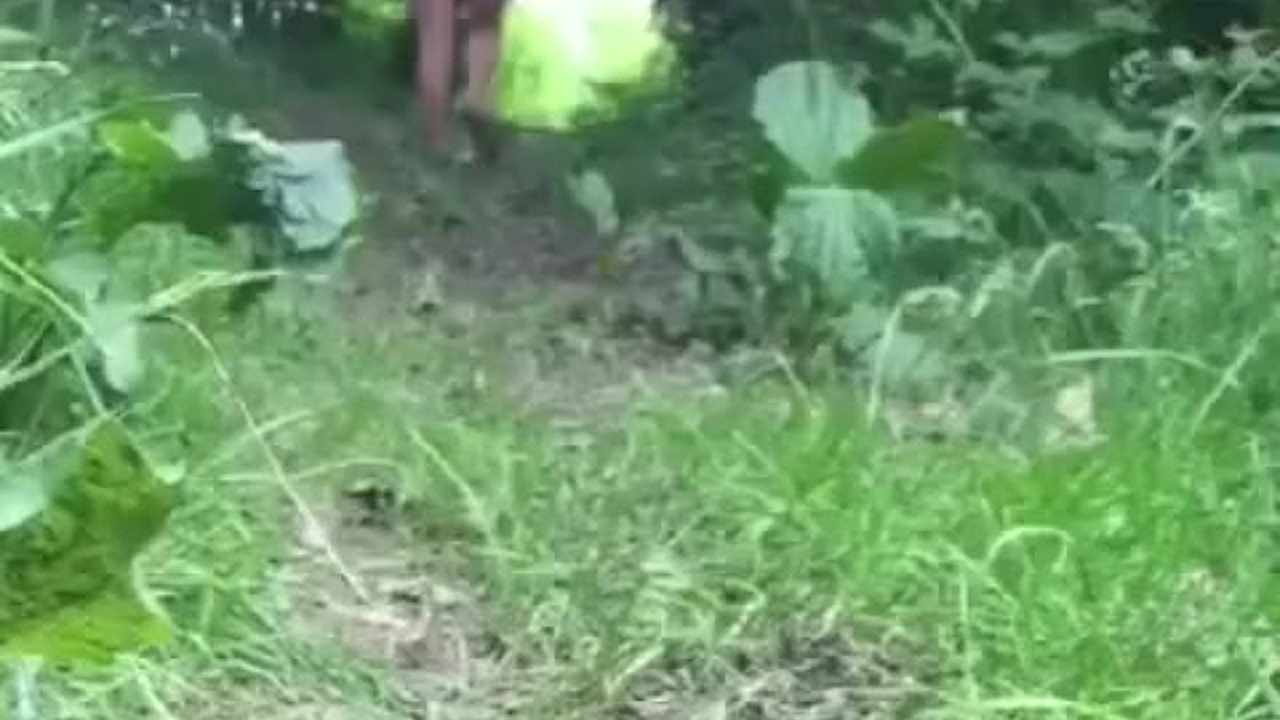Guy Gets Naked in Public Exposed