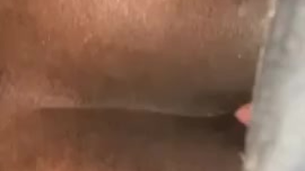 Interracial Gay Couple Fucks in Car on Roadside