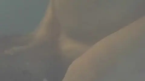 Gay Boy Masturbation Solo