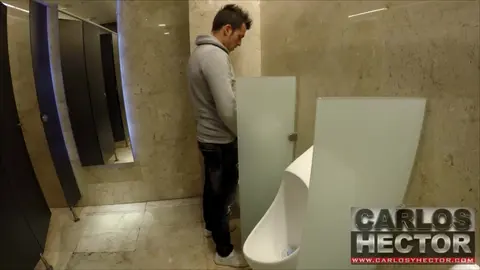 Gay Public Restroom Encounter