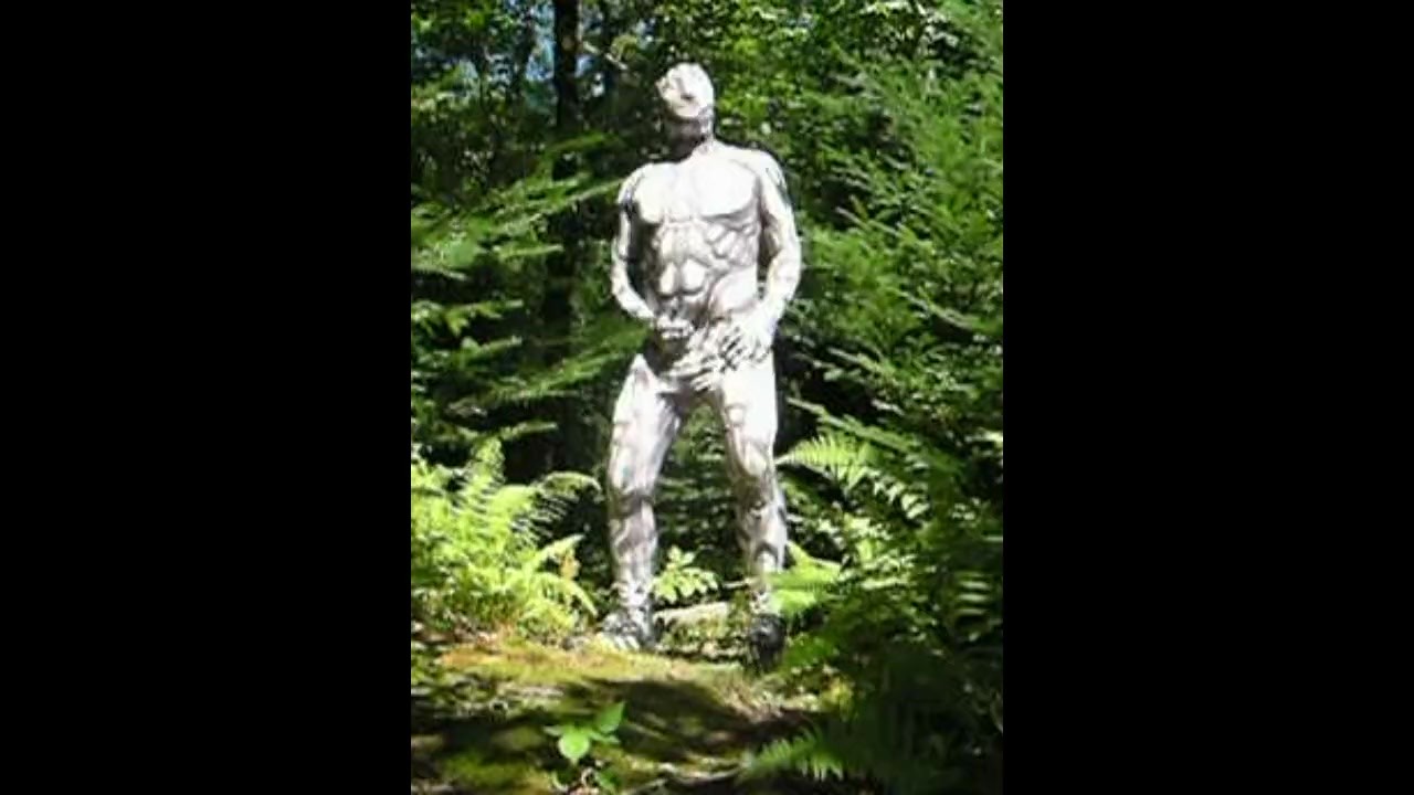 Gay Android Fantasy in Forest