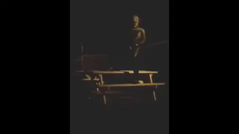Frogman Skeleton Gets Fucked Outside at Night