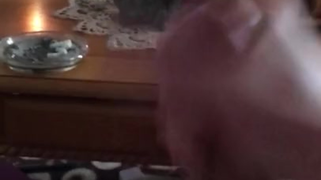 Guy Masturbates in Afternoon Solo Session