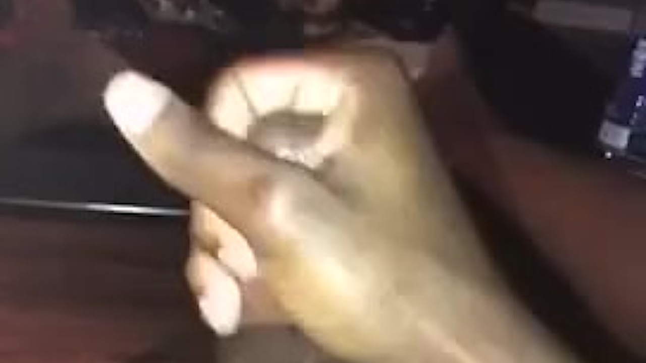 Guy Masturbates to Gay Porn