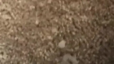 Close-Up Cumshot to the Face