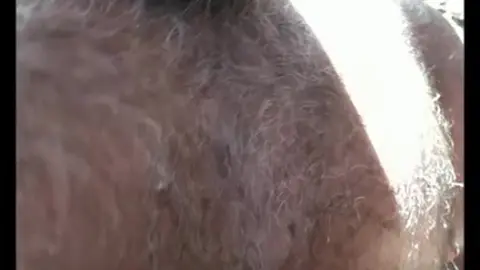 Gay Outdoor Sex in Park