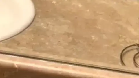 Boujee Guy Gets Fucked Hard