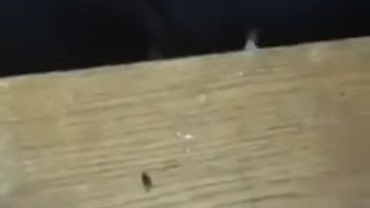 Brotherly Love Quick Handjob Session