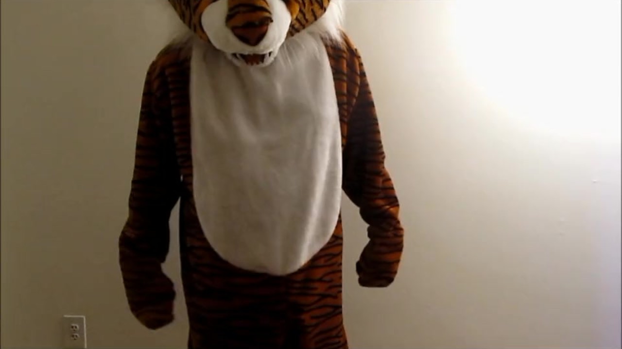 Guy in Fursuit Gets Fucked from Behind