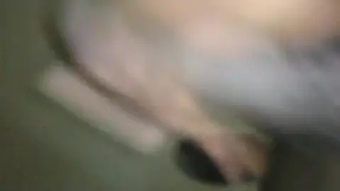 Big Black Cock Jerking Off