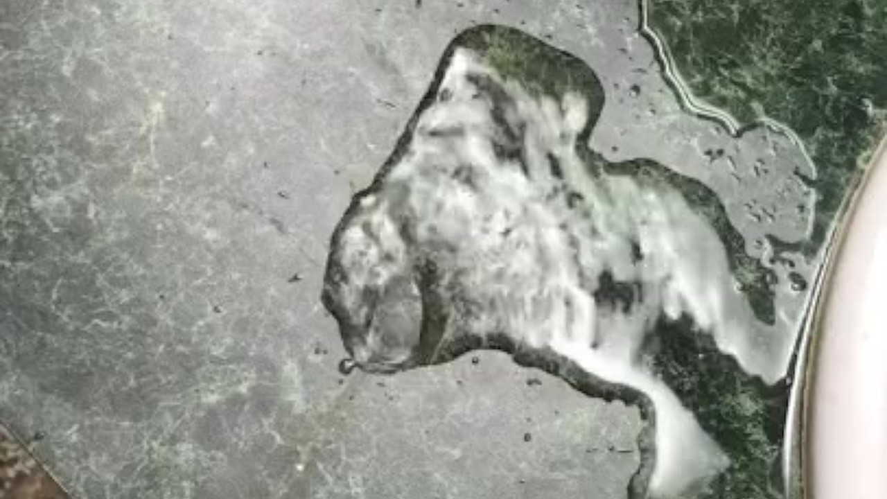 Gay Man Urinates in Public