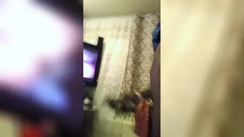 Hard Dick Jerking in Panties Fetish