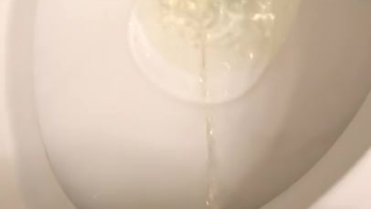 Guy Takes a Piss in Public Restroom