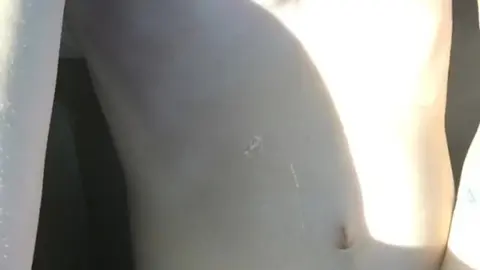 Friend Jerks Off Till Cumming