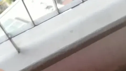Camilo Brown Jerks Off on Balcony with Outdoor Cum Shot