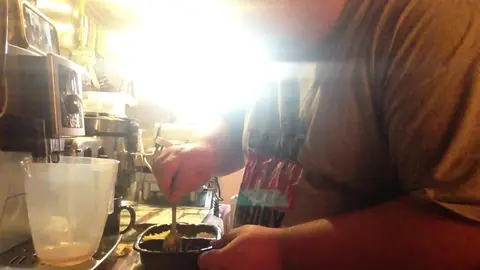 Gay Guy Eats Cum After Blowjob