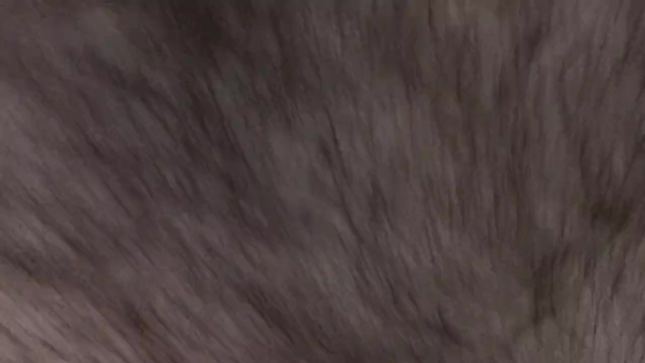 Guy Masturbates with Intense Stroking