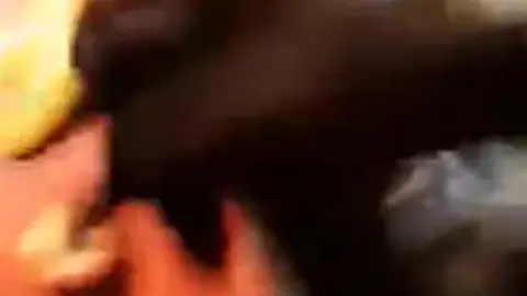 Guy Teases with Edging and Oral