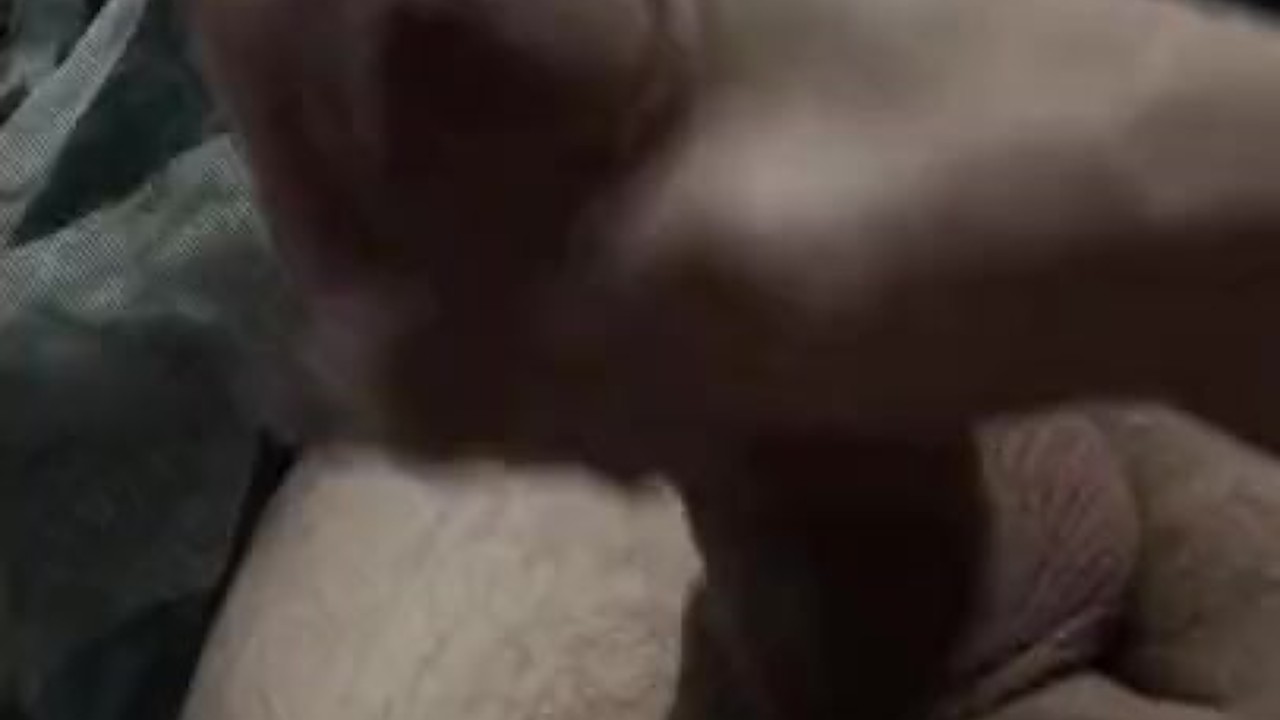 Solo Guy Masturbates in Part 3