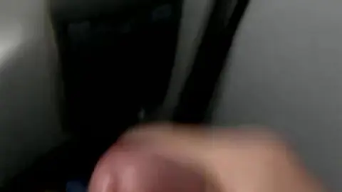 Guy Masturbates on Bus