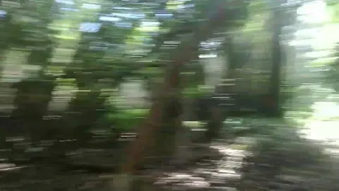 Forrest Threesome with Twinks and Bareback