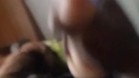 Guy Fucks Fleshlight with Loud Moans