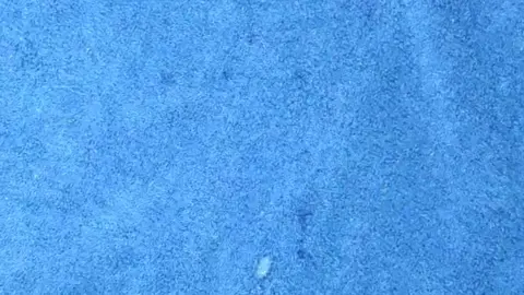 Solo Guy Jerks Off to Huge Cumshot Finish
