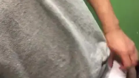 Horny Guy Gets Quick Blowjob on Lunch Break