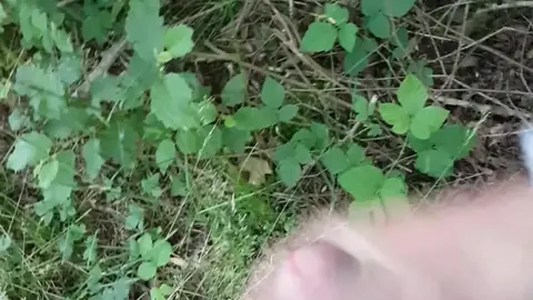 Gay Men Have Forest Fuck