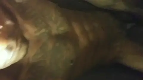 Horny Guy Jerks Off to Bust a Nut