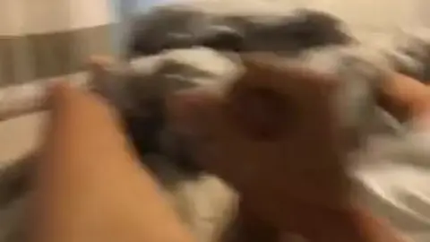 Horny Boyfriend Replacement with Solo Jerk Off