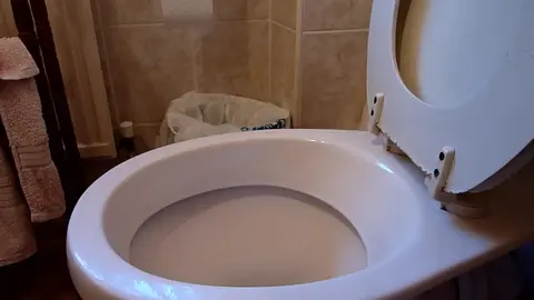Guy Urinates into Toilet