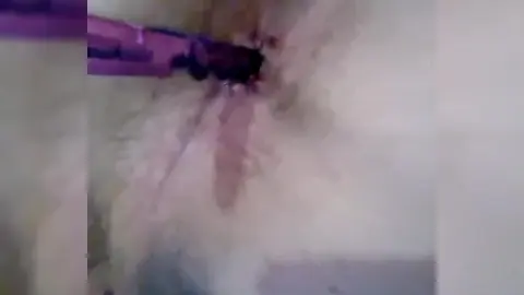 Solo Guy Plays Anal Games During Masturbation