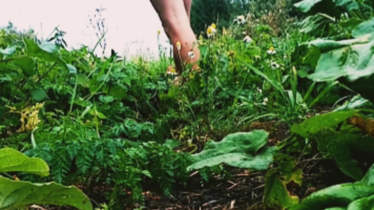 Guy Strips Naked in Outdoor Field