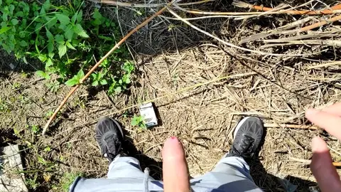 Guy Jerks Off Behind Garages Outdoors