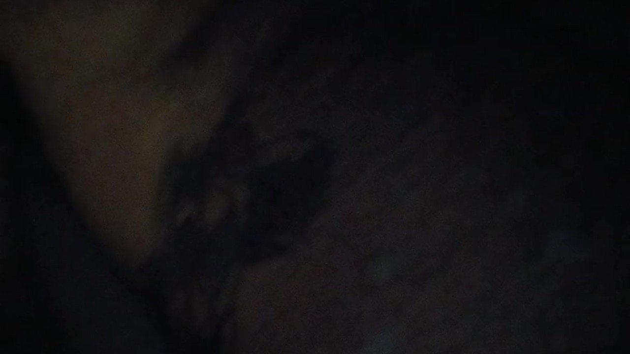Pup Zeus Jerks Off to Orgasm