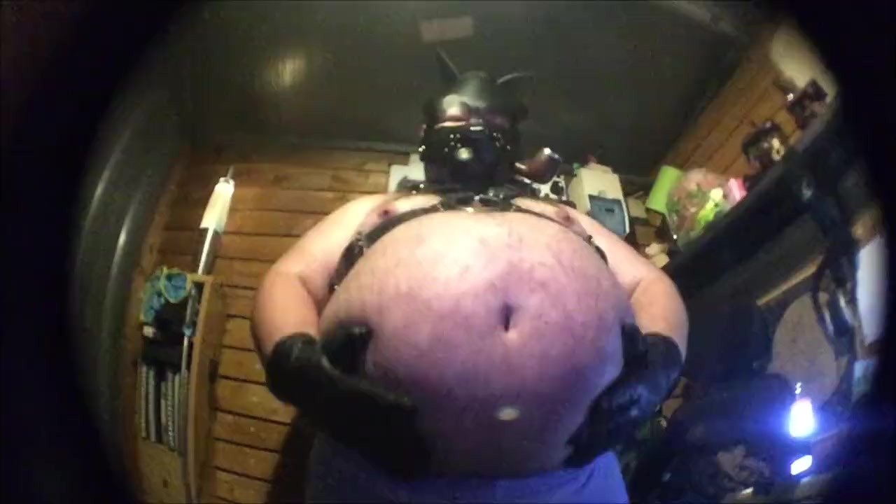 Top Dawg Dominates with Harness and Leather