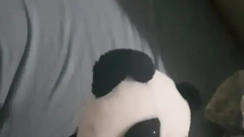 Panda Gets Fucked in Kinky Zoo Fantasy