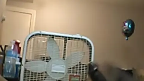 Morning Masturbation Ends with Cumshot