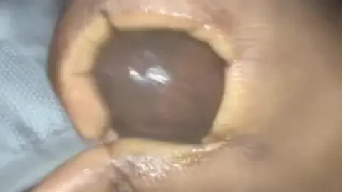 Horny Boy Cums Quickly in Solo Action