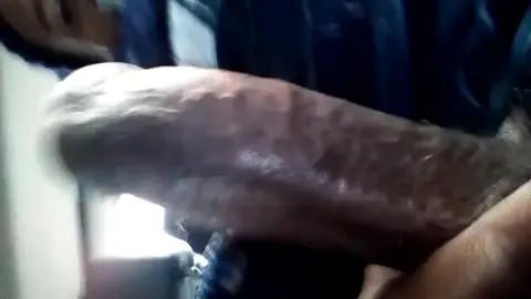 Solo Guy Jerks Off in Cat Masturbation Scene