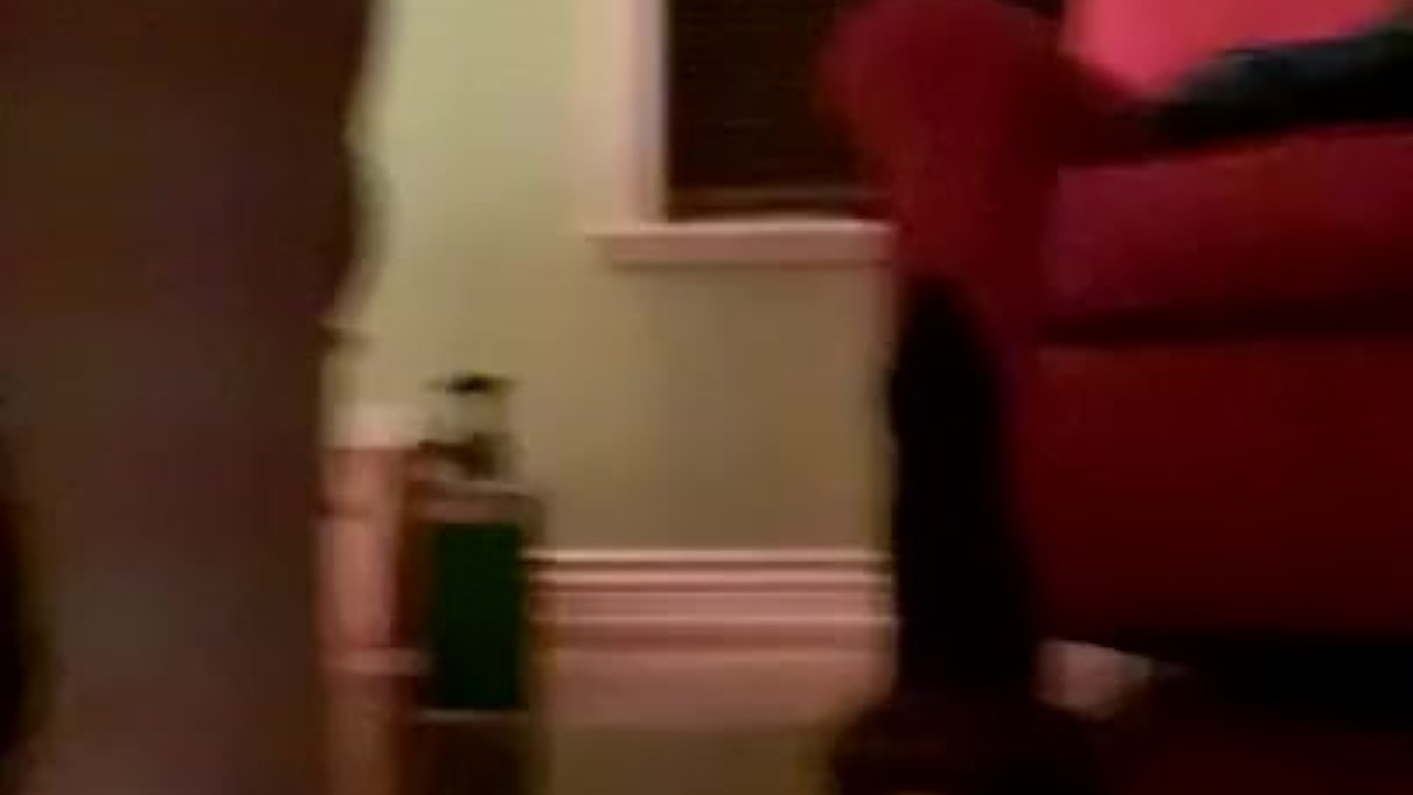 Duke The Bad Dragon Gets Humped