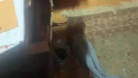 Big Cock Bouncing Solo Action